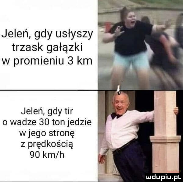 trzask gałązki w promieniu   km h jeleń gdy tir o wadze    ton jedzie wjego stronę z prędkością    km h