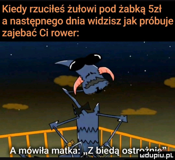 kiedy rzuciłeś żyłowi pod żabką sał a następnego dnia widzisz jak próbuje zajebać ci rower tet twp. a mewﬂq zip rtmangmm x x