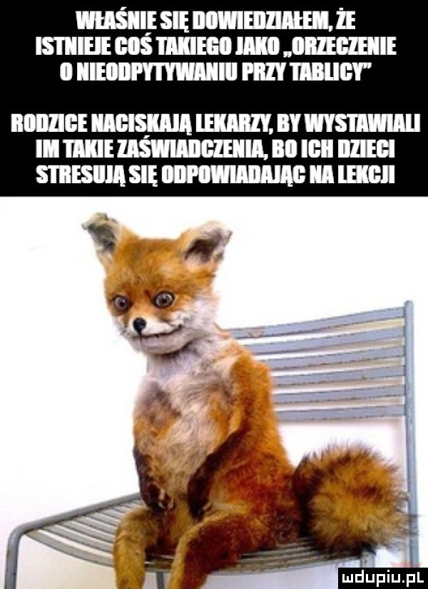 wi się mwmw. le isiiiei s meg lllll il ie i iieiii yi wmiiii i iily libliiey iiiiilige mmpm lﬂllll by mm ii takie memu. bai ilii illiei