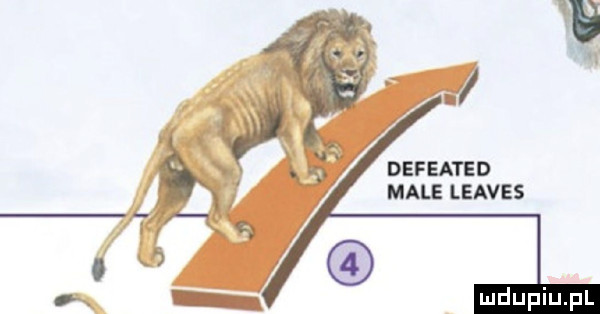 defeated male leaves