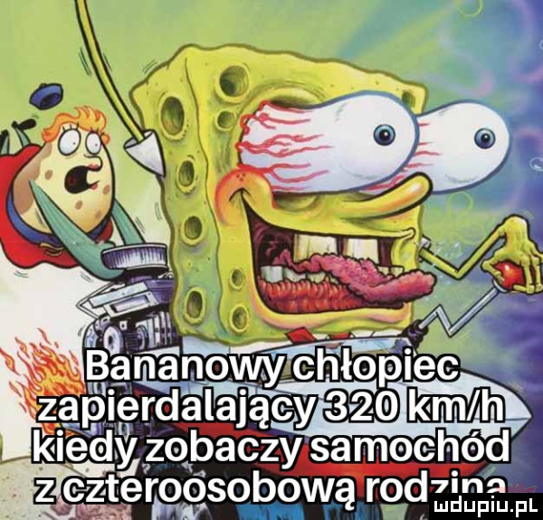 dryff te pferdalający    km h dy zobaczy samochód  in ﬂ ludupiu. pl