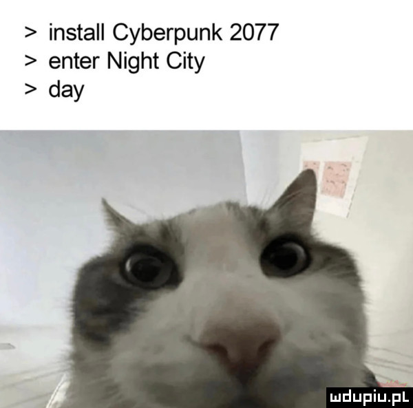 install cyberpunk      enter night city dcy