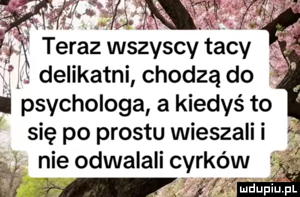 sof a i ś teraz wszyscy tacy delikatni chodzą do i psychologa a kiedyś to się po prestu wieszali i       nie odwalali cyrków. m. ludupiu. pl