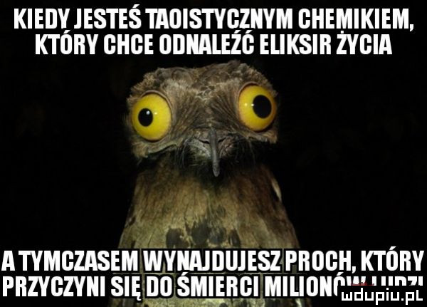 kiedy jesteś taoistygziiym ghemikiem ktoiiy ghee cumuźc eliksiii zycia atymgzi idem wyiiiiiiiiiizsz piiogh ktoiiy piizvgzviii się m i   śmieiigi mmilll lici l j f u