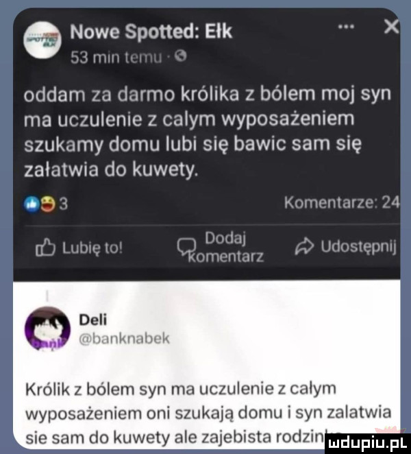 nowe spotted elk x oddam za darmo królika z bólem moj syn ma uczuleme z calym wyposażeniem szukamy domu ub się bawic sam się załatwia do kuwety. tą kai i ibl ii   l uliki lal iwiil ll i lwów deli u lima. my uhgwni królik z bólem syn ma uczulenie z calym wyposażeniem oni szukają domu i syn zalatwia sie sam do kuwety ale zajebista rodzin