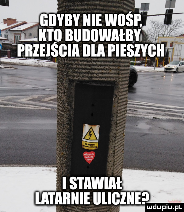 hme wośp magm biiiiiiwatbyu pbieisgia ilia pieszybii   summ lataiłnieiilicliie uiude pl
