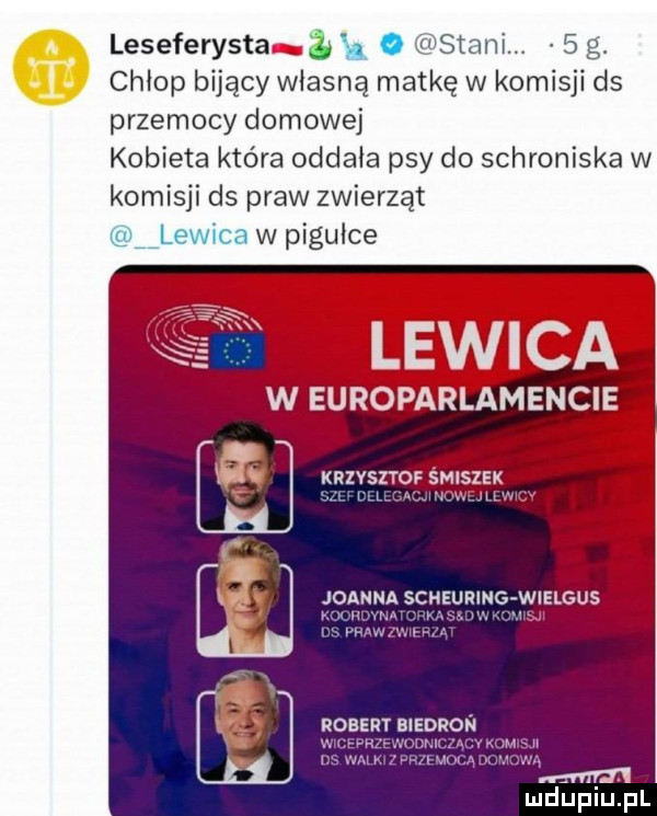 leseferysta  k   siani.   g. chłop bijący własną matkę w komisji ds przemocy domowej kobieta która oddała psy do schroniska w komisji ds praw zwierząt lewica w pigwice
