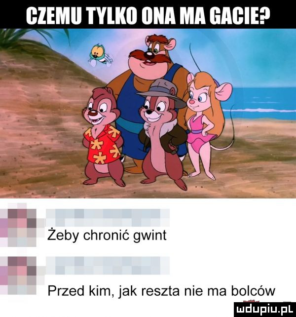 ﬂlemil i ylkll ona ma me zeby chronić gwint przed kim jak reszta nie ma bolców