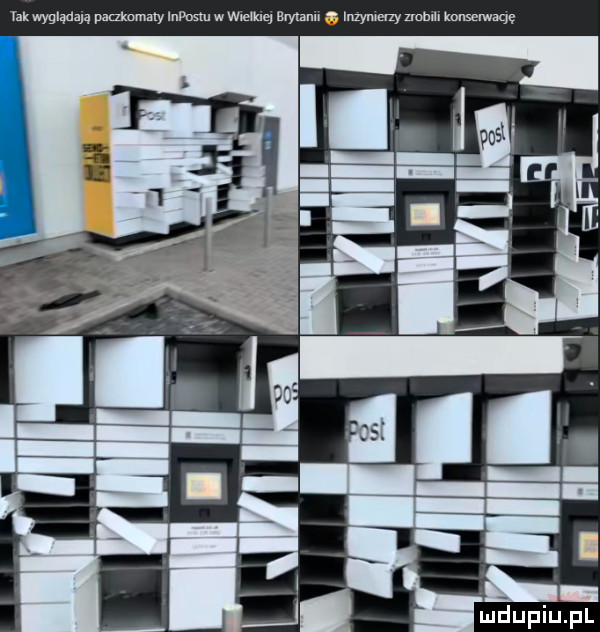 takwyglądają pankomaly mmm. w wielkiej brylaml. inzymerzy nemu knuselwaqę