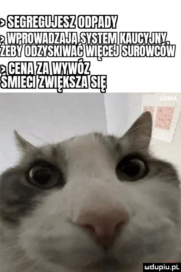 eeeieeleez wpbiiwaiizma system kaiigyjiiy zeby odzyskiwaó więcej sliiiowgliw