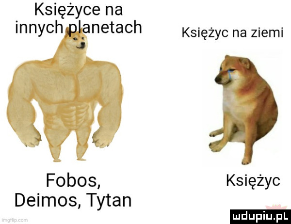 księżyce na innychglęnetach j    . fobos deimos tytan księżyc na ziemi księżyc