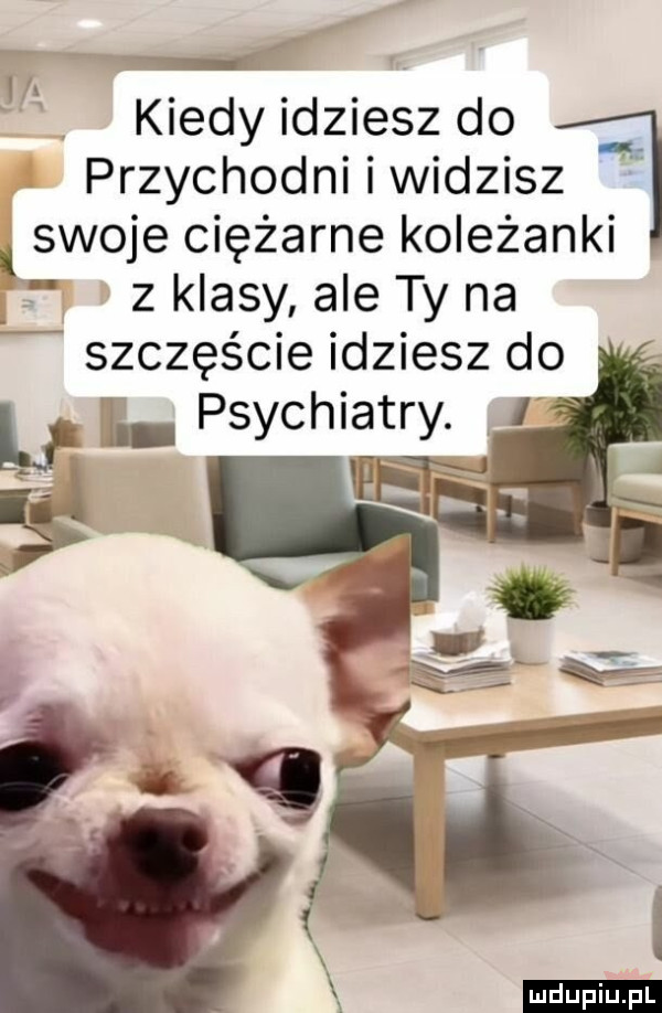 abakankami m kiedyidziesz do przychodni i widzisz l swoje ciężarne koleżanki z klasy ale ty na szczęście idziesz do l l psychiatry. abakankami