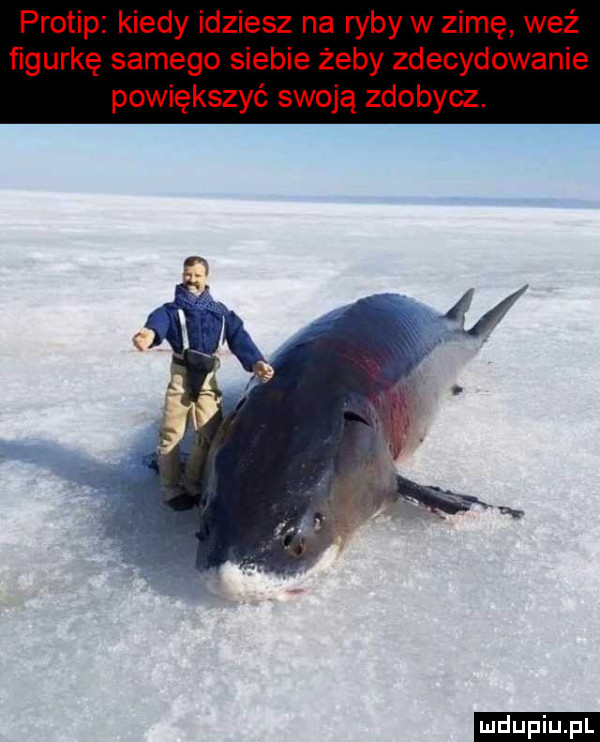 protip kiedy idziesz na ryby w zimę wez ńgurkę samego siebie żeby zdecydowanie powiększyć swoją zdobycz
