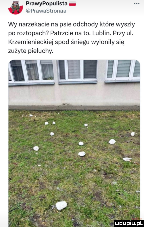 prawypopulista prawastronaa wy narzekacie na psie odchody które wyszły po roztopach patrzcie na to. lublin. przy ul. krzemienieckiej spod śniegu wyłoniły się zużyte pieluchy. l lilll lg lildupiupl