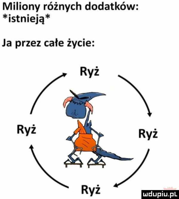 miliony różnych dodatków istnieją ja przez całe życie m rai ryż ryż