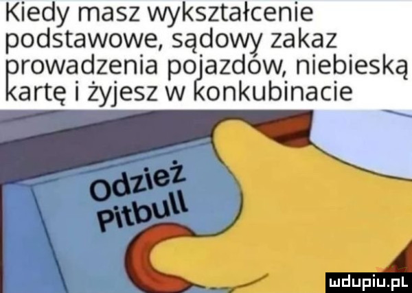 kiedy masz wykształcenie podstawowe sądowy zakaz ęrowadzenia pogazdow niebieską artę i żyjesz w onkubinacie x ma