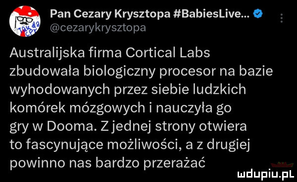 pan cezary krysztopa babieslive. o cezarykrysztopa australijska firma cortical lais zbudowała biologiczny procesor na bazie wyhodowanych przez siebie ludzkich komórek mózgowych i nauczyla go gry w dwoma. zjednaj strony otwiera to fascynujące możliwości a z drugiej powinno nas bardzo przerażać mduplu pl