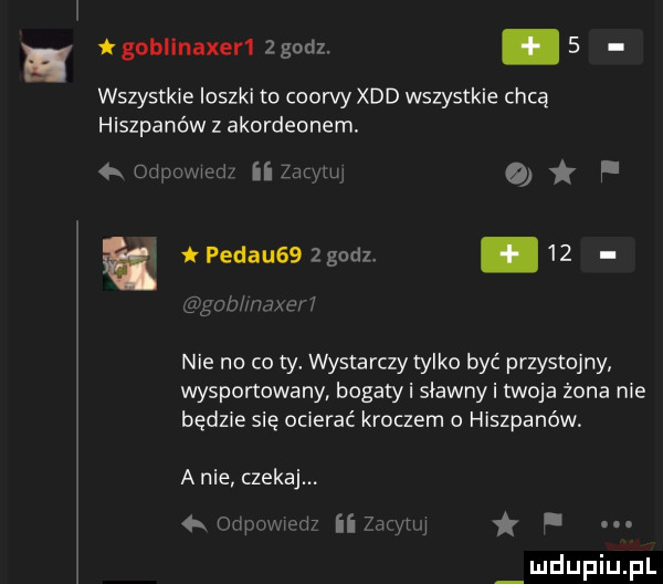 gobllnaxer  gcdz.   wszystkie ioszki to coorvy xdd wszystkie chcą hiszpanów z akordeonem. ind ii  mm o f pedauss zgodz    l njmm m h cd nie no co ty. wystarczy tylko być przystojny wysportowany bogaty i sławny i twoja zona nie będzie sie ocierać kroczem o hiszpanów a nie czekaj i ii mgr i. i u lipiu pl  . n