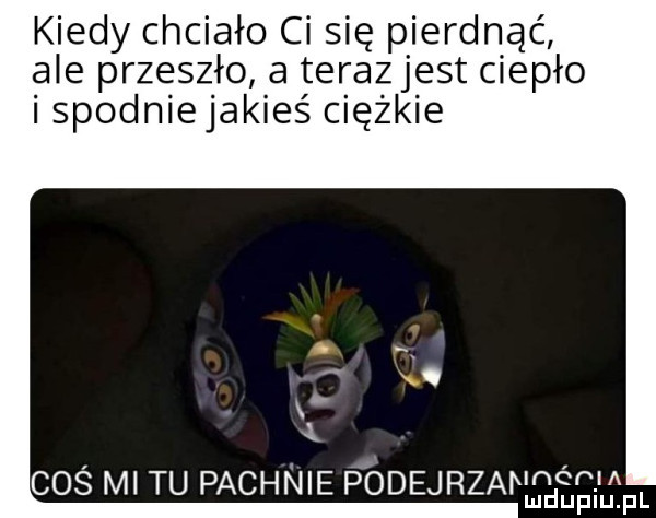 kiedy chciało ci się pierdnąć ale przeszło a terazjest ciepło spoanejakies ciężkie coś mi tu pachnie podejrzarmgil ibl