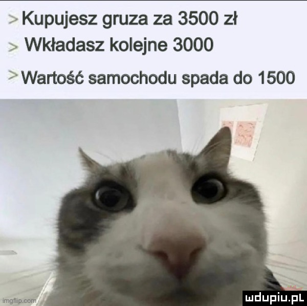 kupujesz gruza za      zł. wkładasz kolejne      wartość samochodu spada do      mgﬂlpmn