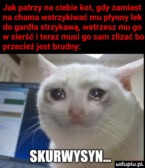 jak patrzy na ciebie kot gdy zamiast na chama wstrzykiwać mu płynny lek do gardła strzykową wetrzesz mu go w sierść i teraz musi go sam inzać bo przecież jest brudny