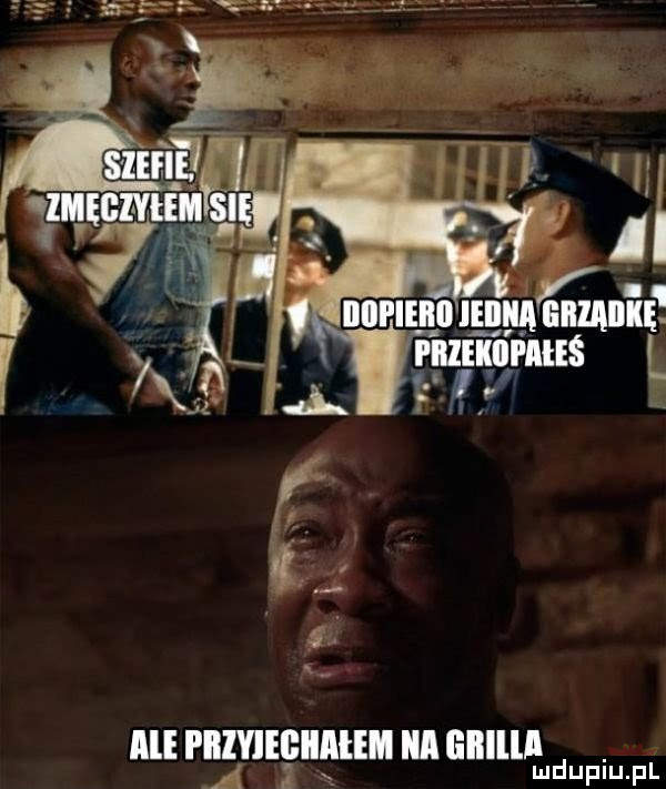 ibl priviegiiaiem ica lilllllld. duiun