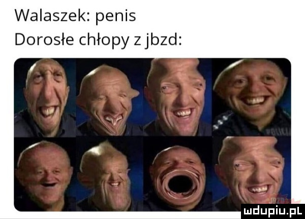 walaszek penis dorosłe chłopy zjazd