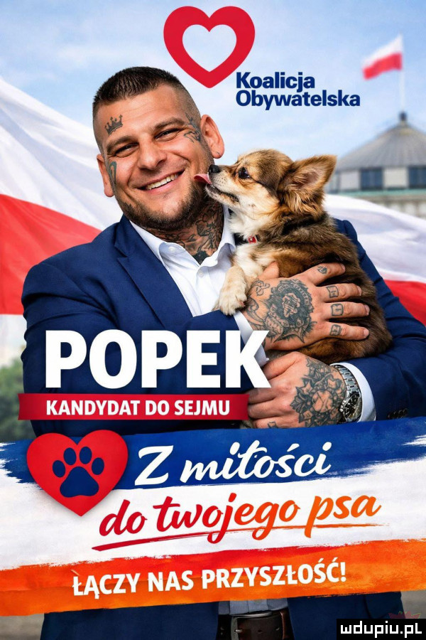 koalicja obywatelska mdupqul