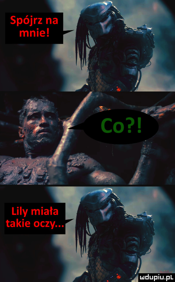 spójrz na lily miała takie oczy. abakankami o amdupiupl