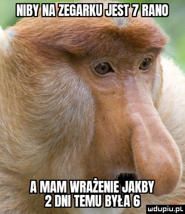 a mam waażeiiie jakby   dell temu była giggs. abakankami