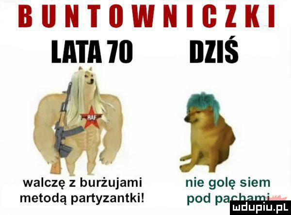 biintiiwnigzih mami illiś walczę z burżujami nie golę snem metodą partyzantki pod pań