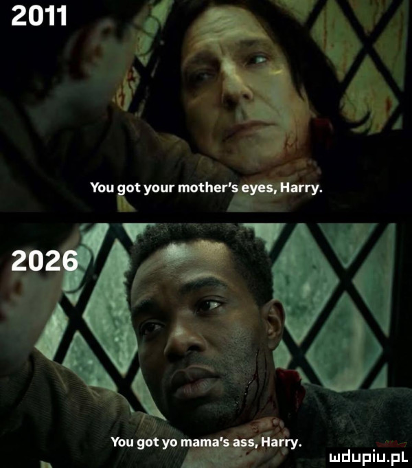 y-u     your mathew vnugo tykw. ludupiu. pl