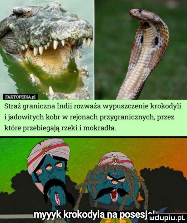 rap straż graniczna indii rozważa wypuszczenie krokodyli ijadowitych kobr w rejonach przygranicznych przez które przebiegają rzeki i mokradła. ą myyyk krokodyla na posesj mdupiuif