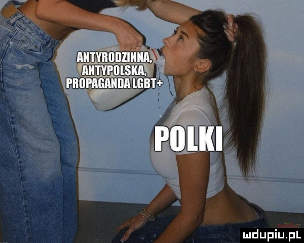 iii. iii gif. prodi illlliilt