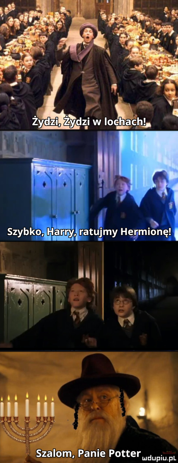 żydzi żąpi dal i w lac ham. hui szalom pace pottermupm fl