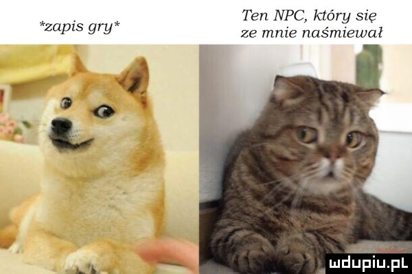 zapis gry r ten nbc mary się ze mnie naśmiewał am