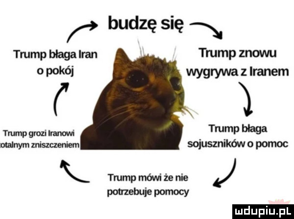 r budzę się n trump blaga iran trump znowu o pokój wygrywa z iranem e trump grozi iranowi temp ma mlnym uiszczeniem sojuszników o pomoc trump méwi że nie a pmebuje pomocy ludu iu. l