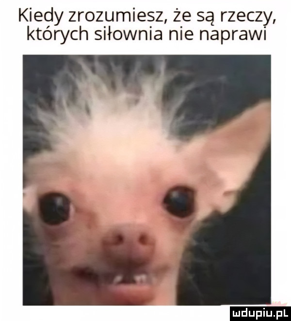 kiedy zraz umie z że są rzeczy ktorych siłownia nie naprawi