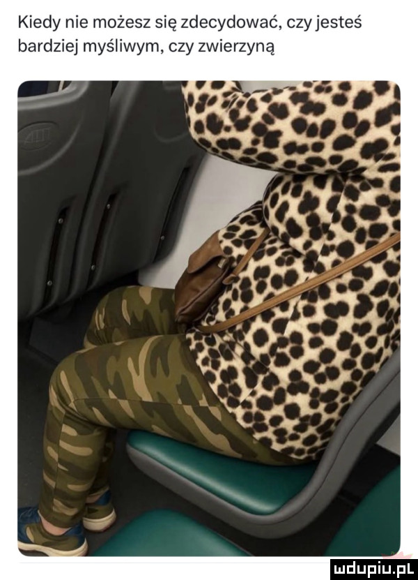 kiedy nie możesz się zdecydować. czy jesteś bardziej myśliwym czy zwierzynę