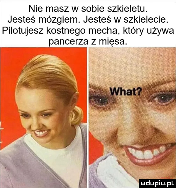 nie masz w sobie szkieletu. jesteś mózgiem. jesteś w szkielecie. pilotujesz kostnego mecha który używa pancerze z mięsa