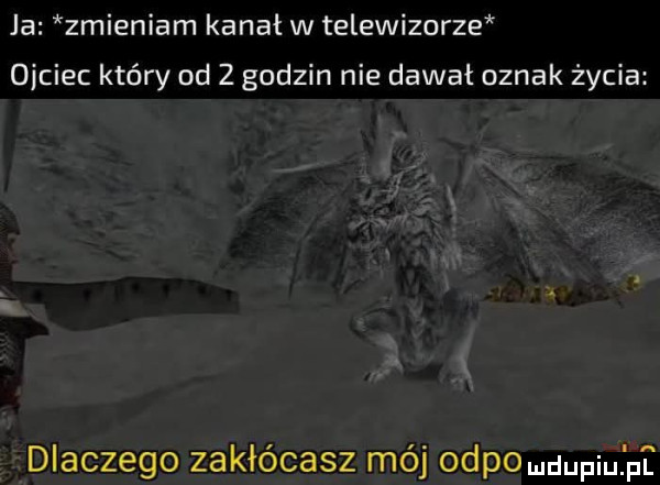 Obrazek