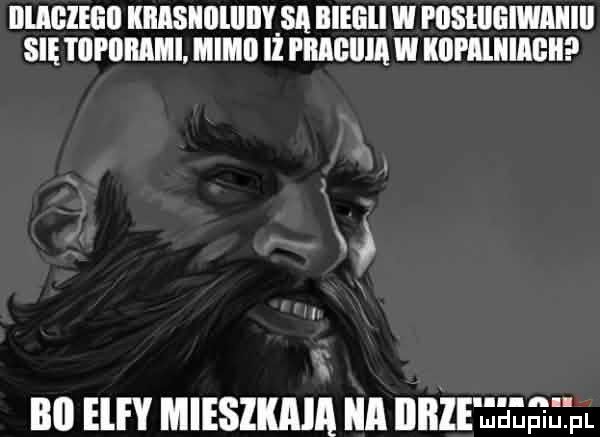 dual kiiisiiolliiiysa bieeii w pilsłllliiwaiiill się tiki inbami mami ll mam w kall llllﬂﬂll u bai elfy mieszkają a illłle j ueeetpl