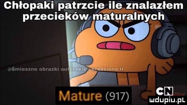 Obrazek