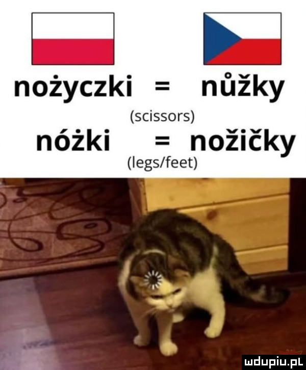 Obrazek
