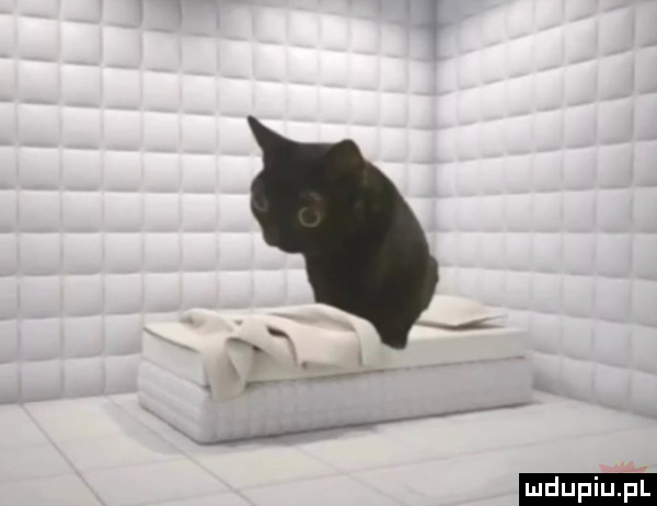 upiu pl
