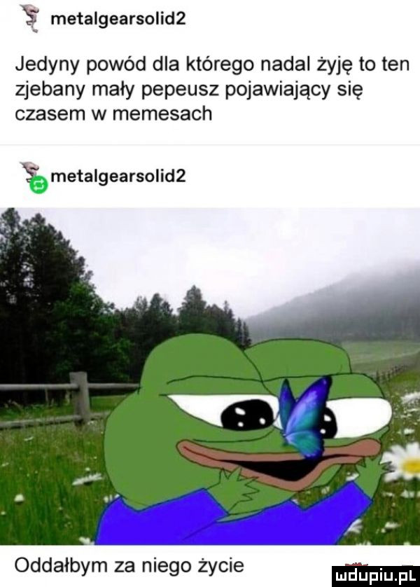 metalgearsolidz jedyny powód dla którego nadal żyję to ten zjebany mały pepeusz pojawiający się czasem w memejach metalgearsolidz oddałbym za niego życie