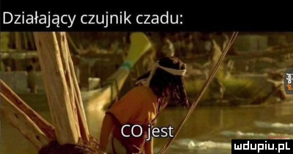 Obrazek