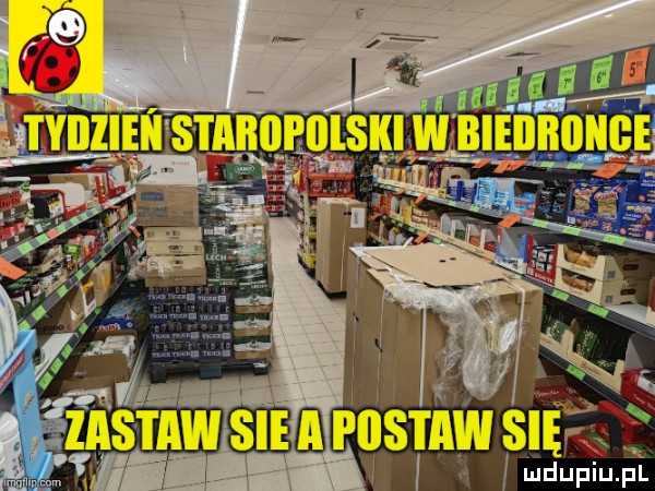Obrazek