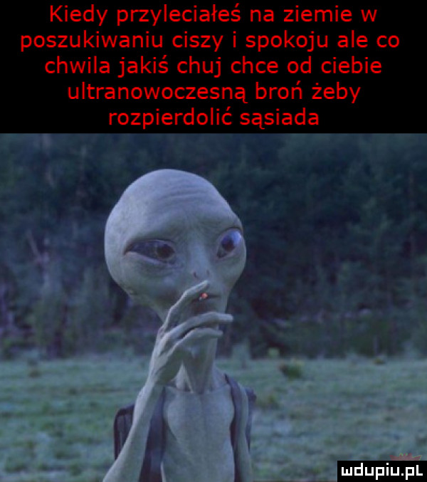 Obrazek