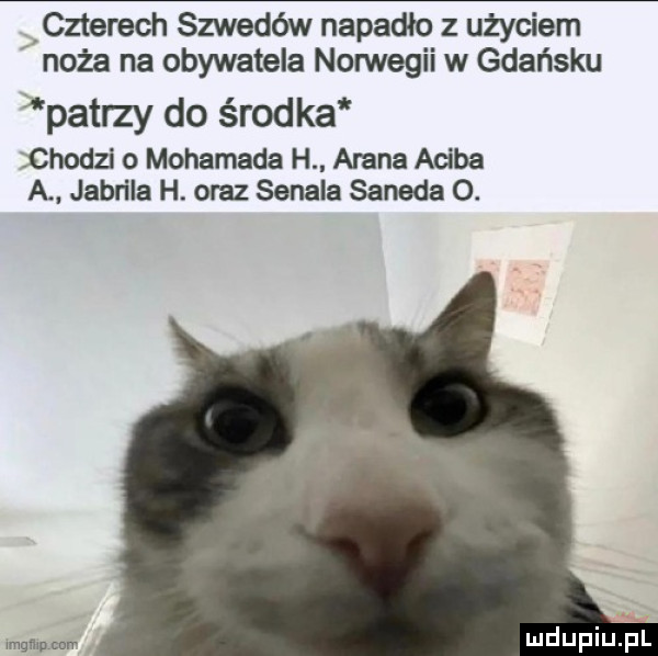 Obrazek